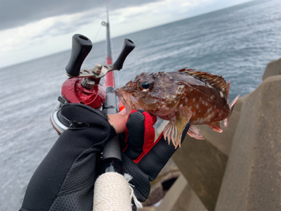 外道で大物ゲスト