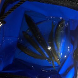 ライトゲーム♪