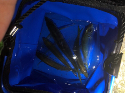 ライトゲーム♪