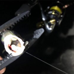 キャロアジング！