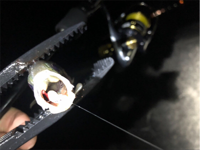 キャロアジング！