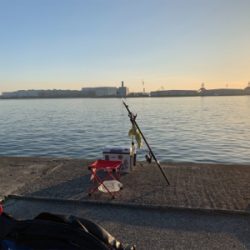 大阪南港へエビ撒き釣行