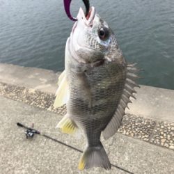 怒涛の3連チャン