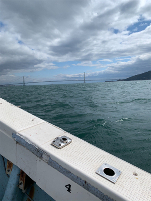 明石沖ジギング