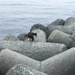 2020ライトゲーム第8戦