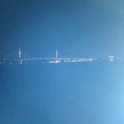 黒鯛だったのかな?