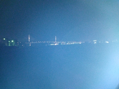 黒鯛だったのかな?