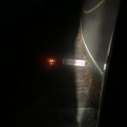 ひたすら寒いが魚は居た!