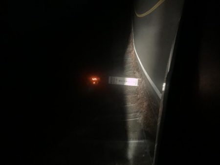 ひたすら寒いが魚は居た!