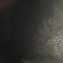 寒いけど魚は元気!