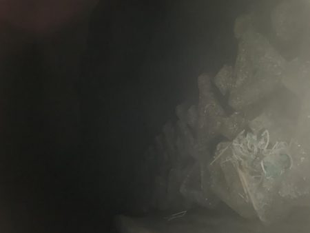 寒いけど魚は元気!