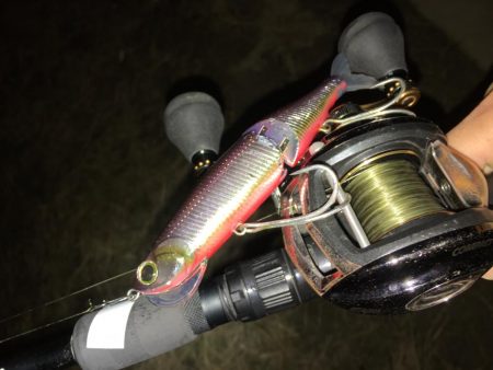 シードライブがハマる明暗シャロー