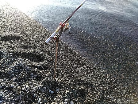 何とか　一杯確保です(#^^#)