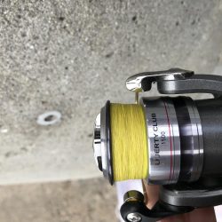 2月17日西宮〜尼崎ランガン強風やめて