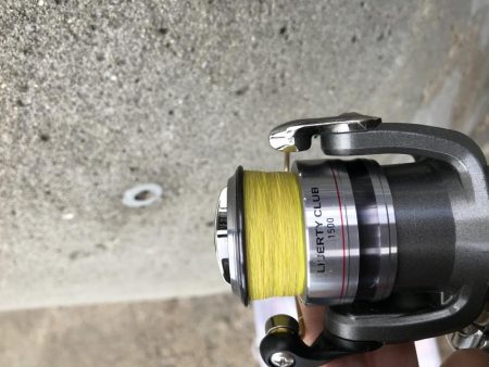 2月17日西宮〜尼崎ランガン強風やめて