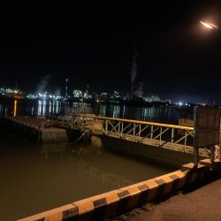 記録更新！最小のね…