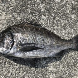 イチノ兄弟、釣果！