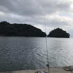 京都ラスト釣り