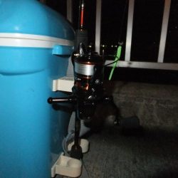 メバリングのはずが、、、