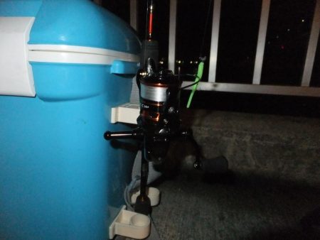 メバリングのはずが、、、