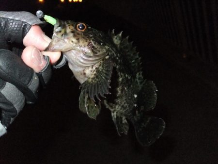 ガッシー君、高活性！