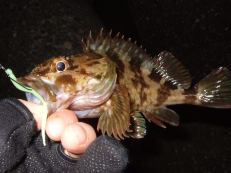 プラッギングのみで