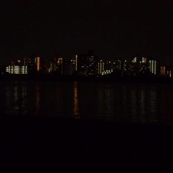 ボトムで反応有り