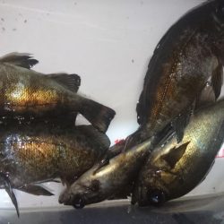 ボトム攻め！！