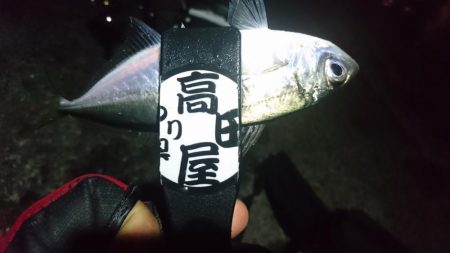 バレンタインアジ