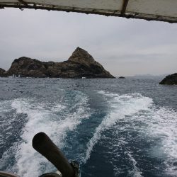 御五神で連続のグレ釣り