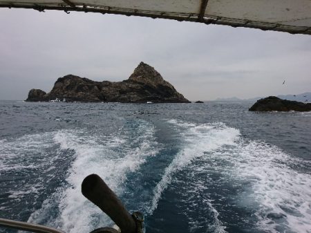 御五神で連続のグレ釣り