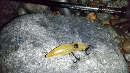 ホタルイカパターン　良型メバル確保！