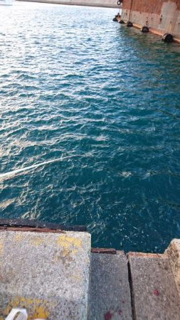 入れ食いでした！