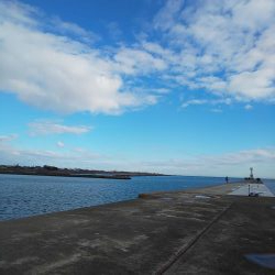 ｾｲｺﾞ祭？否、ｽﾚ祭