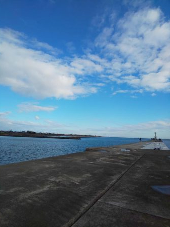 ｾｲｺﾞ祭？否、ｽﾚ祭