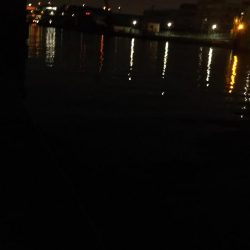 ぶらシーバス！！