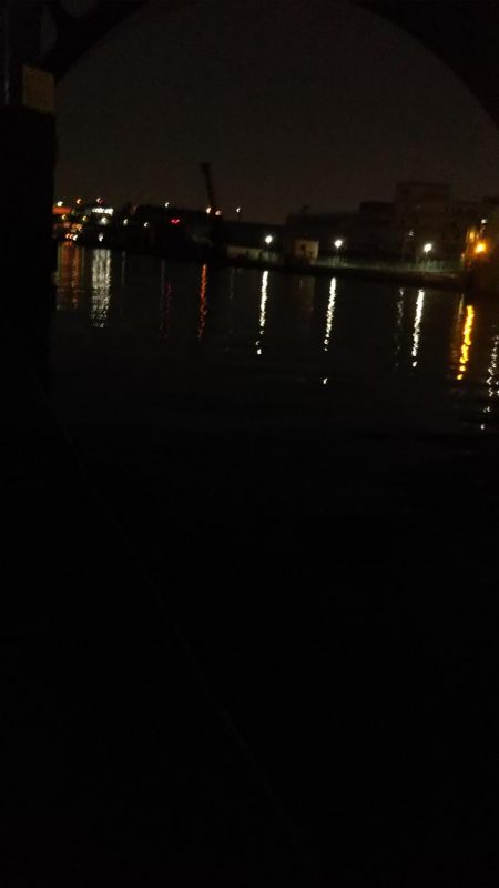 ぶらシーバス！！