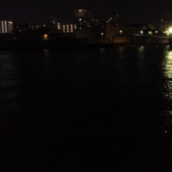 ぶらシーバス！！