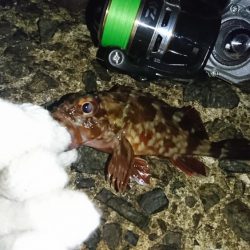 場所を変えてみた