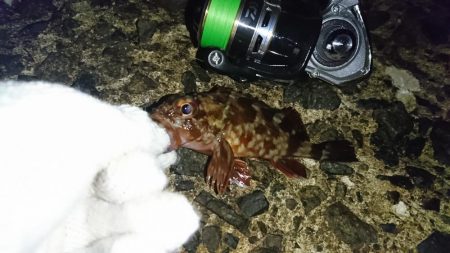 場所を変えてみた