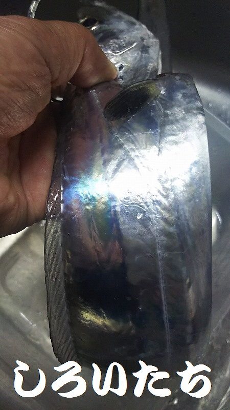 あきらめかけた時にドラマがありました。