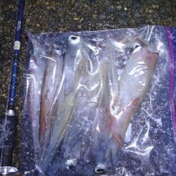 初ポイントにてテーラー好調