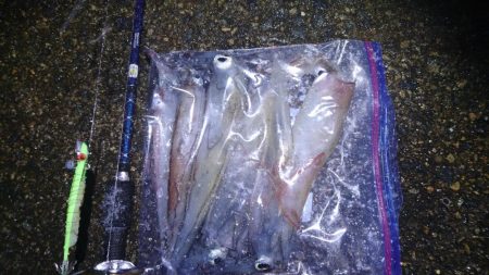 初ポイントにてテーラー好調