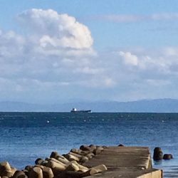 カレイ自己記録 W更新