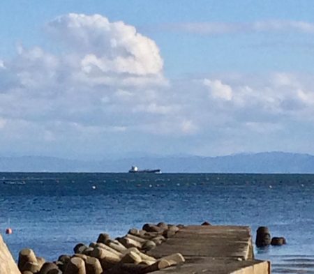 カレイ自己記録 W更新