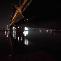 南港へち釣行 (2020/02/02 南港ヘチ釣り キビレチヌ(44cm)ガシラ 釣果有り)