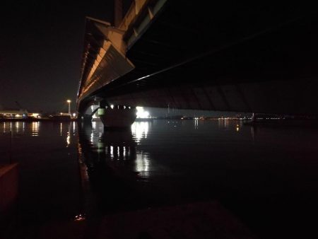 南港へち釣行 (2020/02/02 南港ヘチ釣り キビレチヌ(44cm)ガシラ 釣果有り)