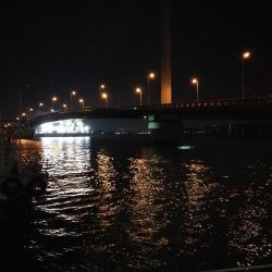 南港へち釣行 (2020/02/06 激サム~南港ヘチ釣り キビレチヌ(41cm)ガシラ 釣果有り)