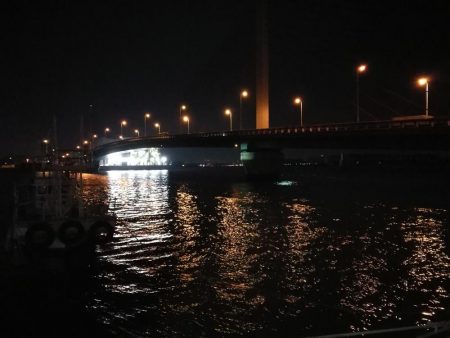 南港へち釣行 (2020/02/06 激サム~南港ヘチ釣り キビレチヌ(41cm)ガシラ 釣果有り)