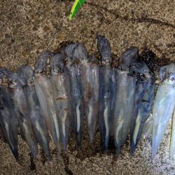 強風の中、なんとかツ抜け